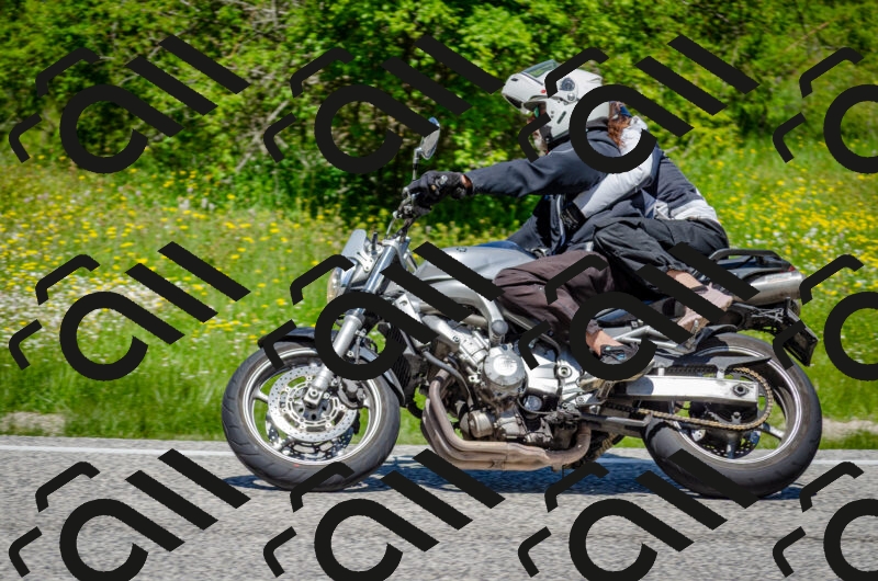 202506011229-DSC_4194_c2