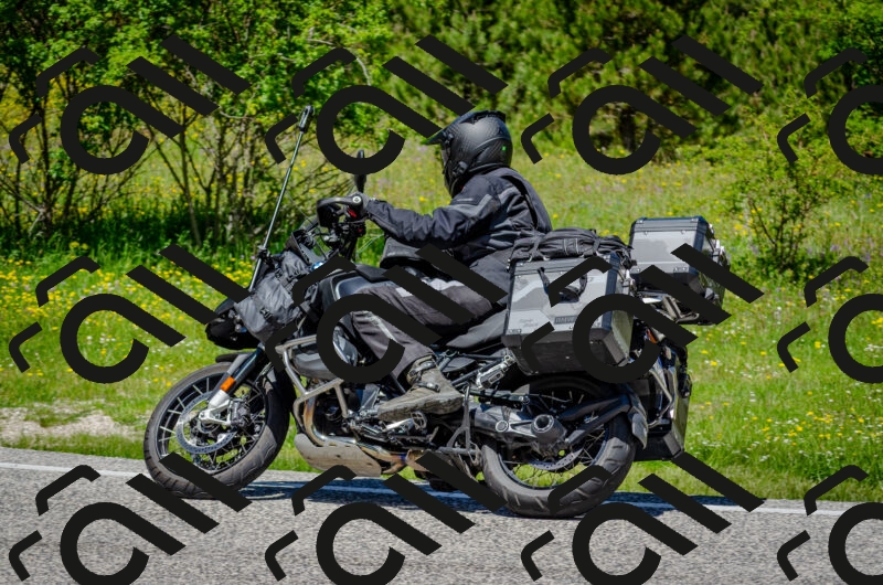 202506011229-DSC_4196_c2