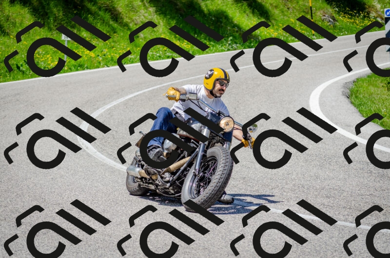 202506011229-DSC_4197_c2