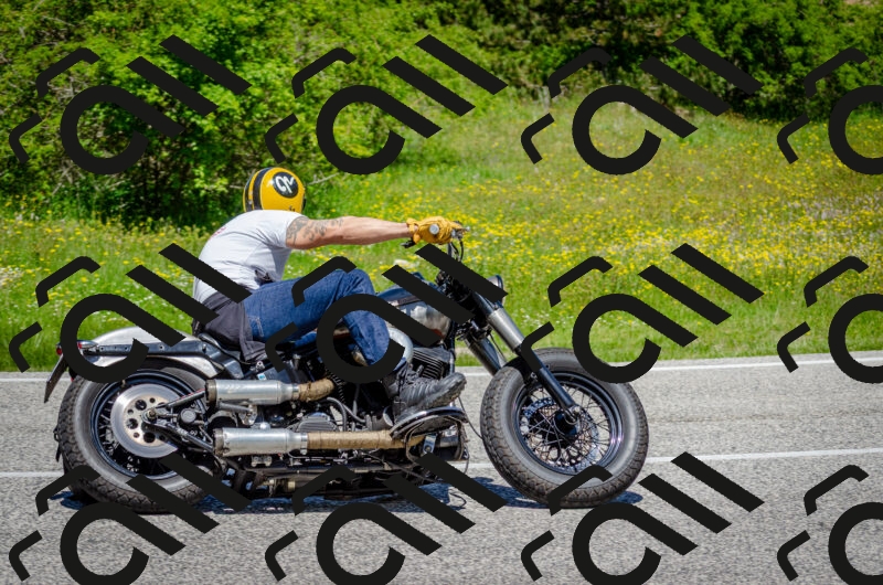 202506011229-DSC_4199_c2