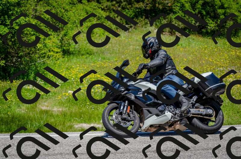 202506011229-DSC_4201_c2