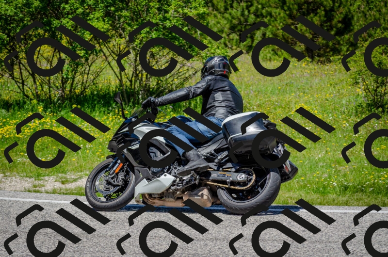 202506011229-DSC_4202_c2