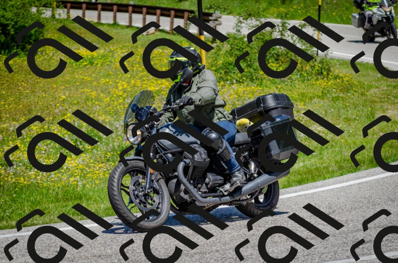 202506011229-DSC_4203_c2