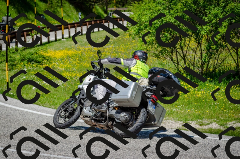 202506011229-DSC_4209_c2