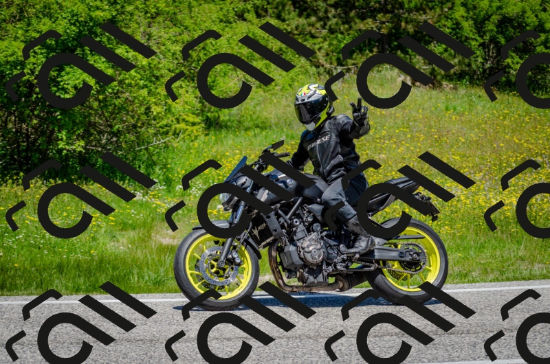 202506011229-DSC_4212_c2