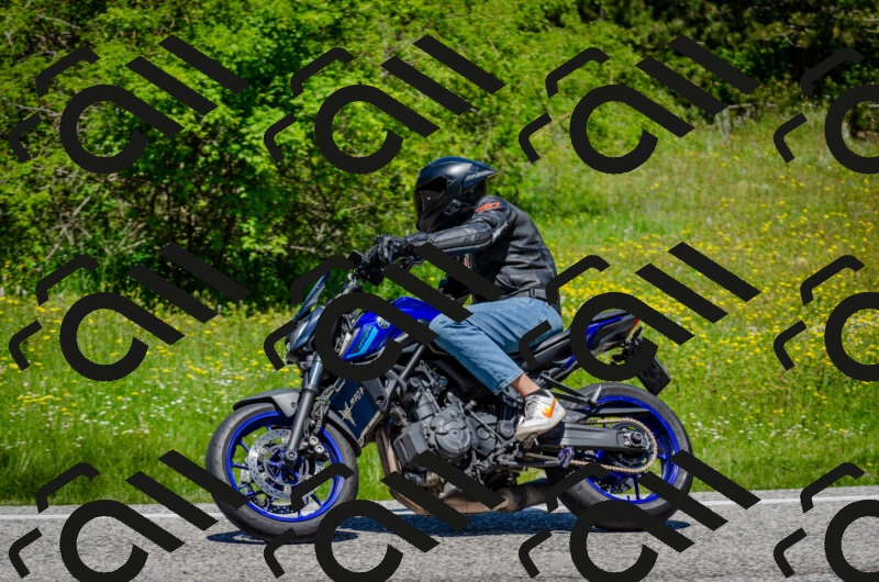 202506011229-DSC_4214_c2