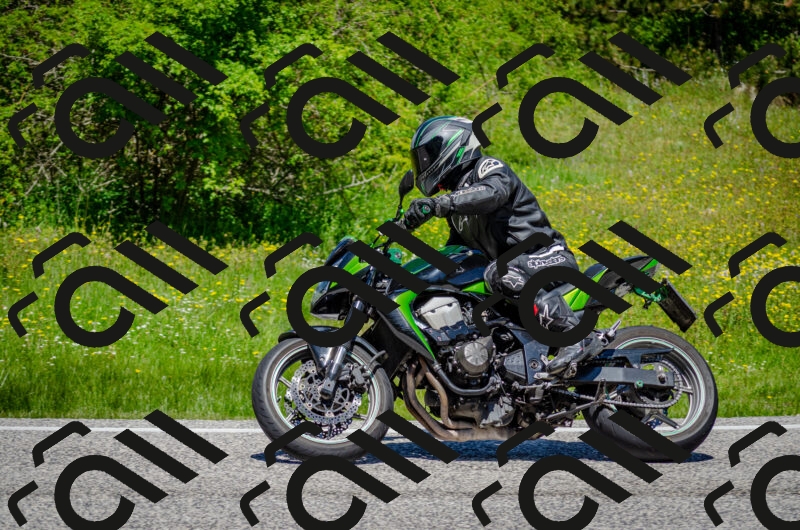 202506011229-DSC_4216_c2