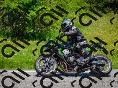 202506011229-DSC_4216_c2