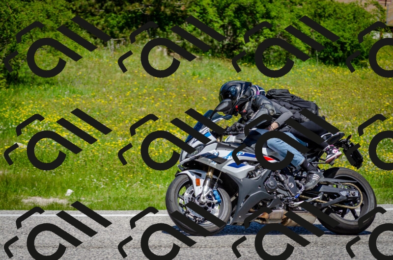 202506011229-DSC_4217_c2