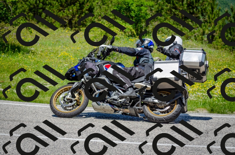 202506011231-DSC_4229_c2