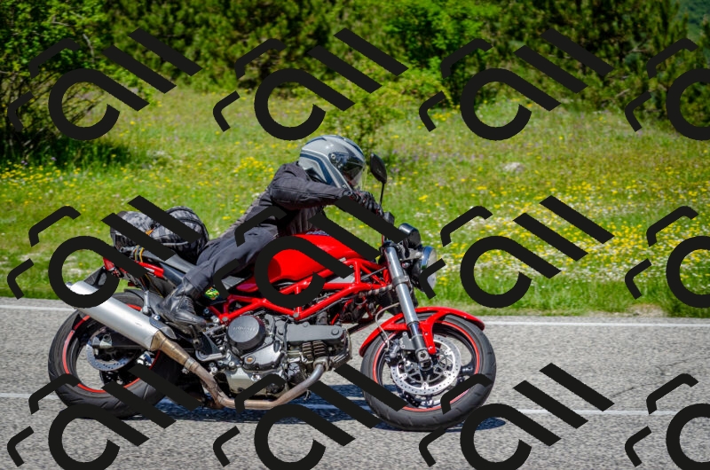 202506011231-DSC_4231_c2