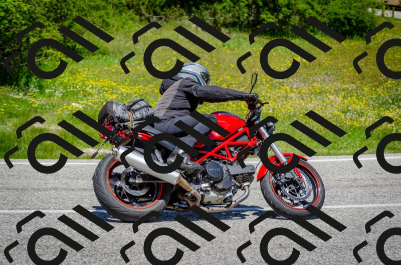 202506011231-DSC_4232_c2