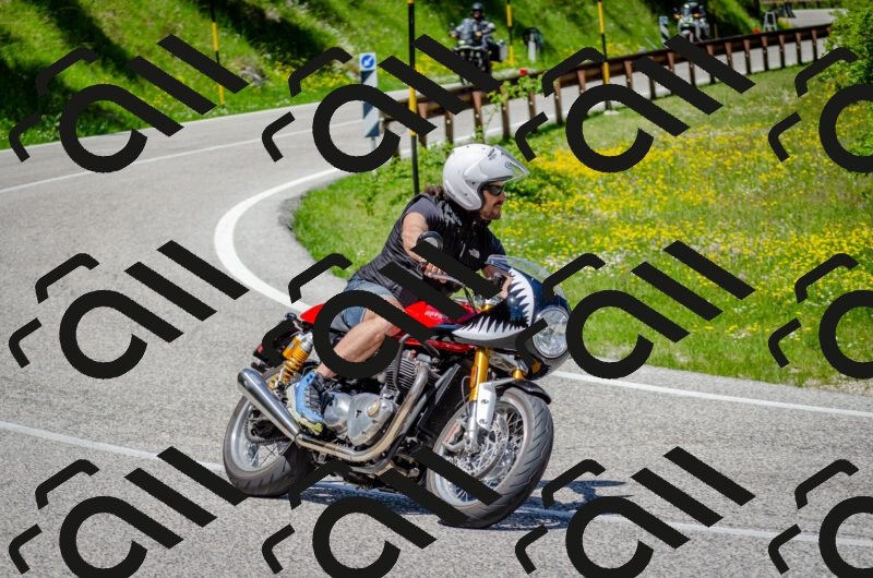 202506011231-DSC_4233_c2