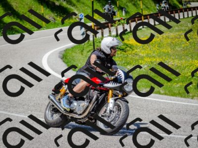 202506011231-DSC_4233_c2