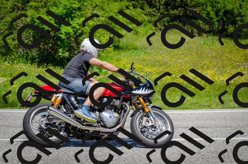 202506011231-DSC_4234_c2