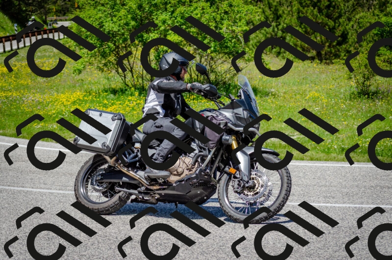 202506011231-DSC_4236_c2