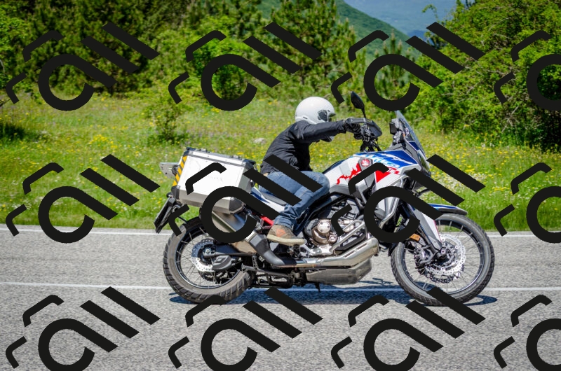 202506011231-DSC_4238_c2