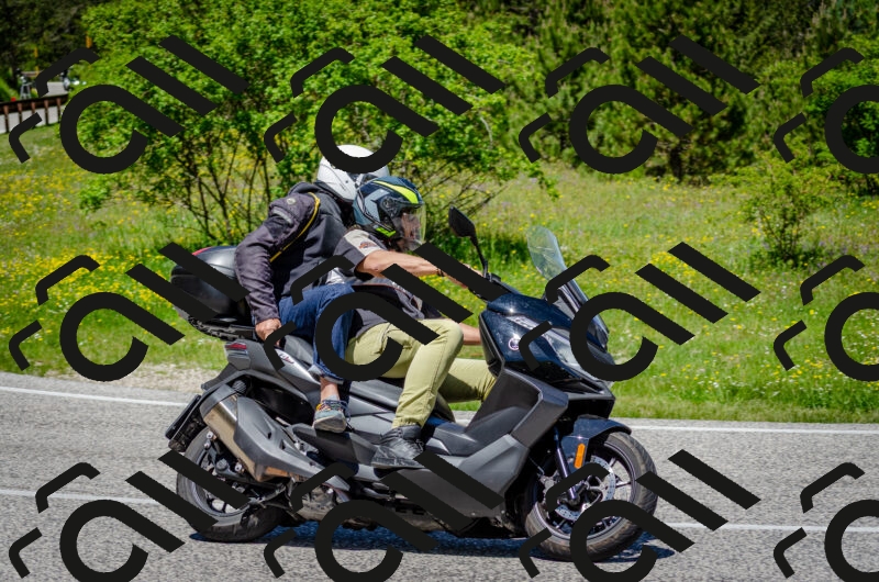 202506011231-DSC_4239_c2