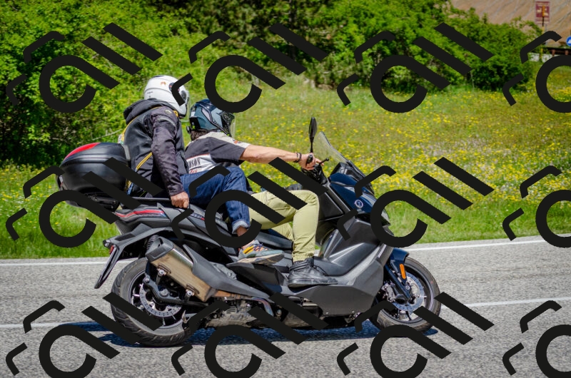 202506011231-DSC_4240_c2