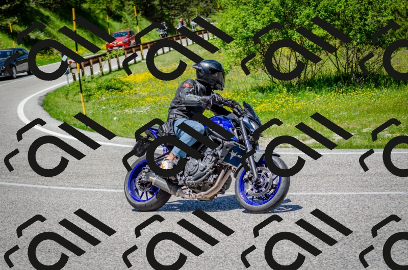 202506011231-DSC_4244_c2