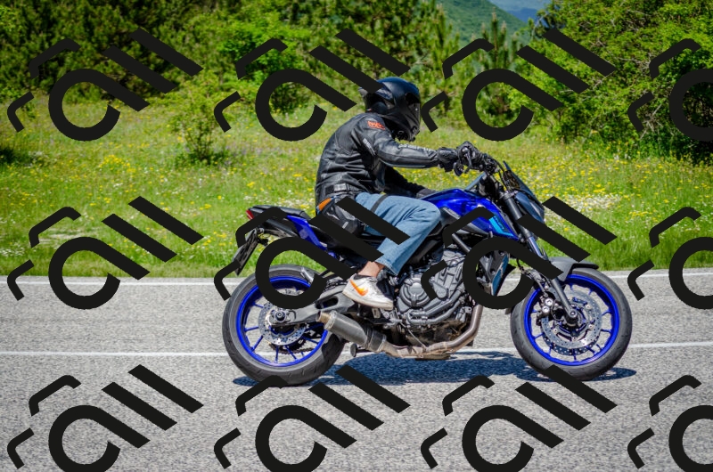 202506011231-DSC_4245_c2