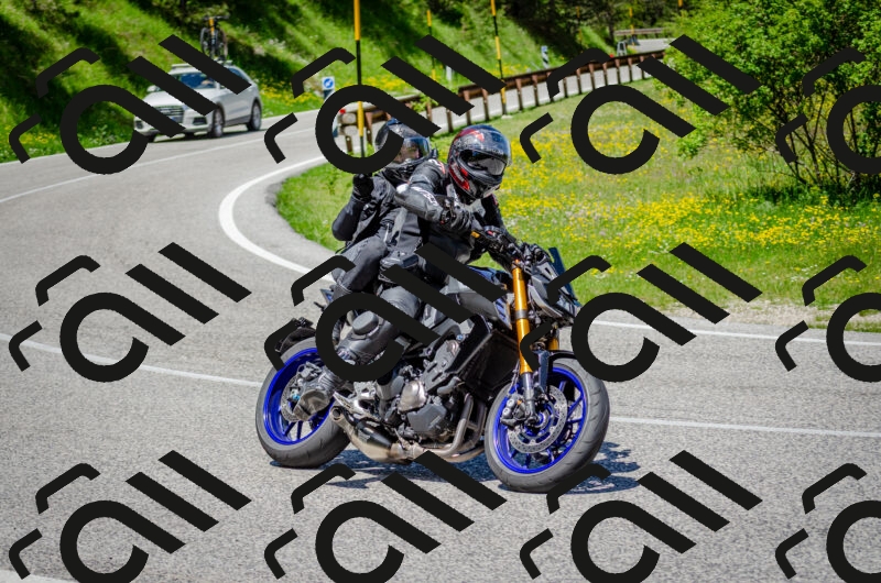 202506011231-DSC_4247_c2