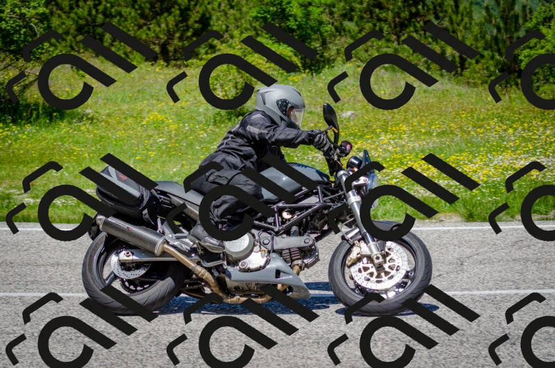 202506011233-DSC_4259_c2