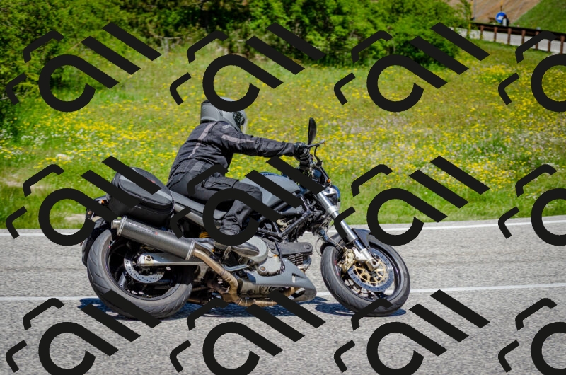 202506011233-DSC_4260_c2