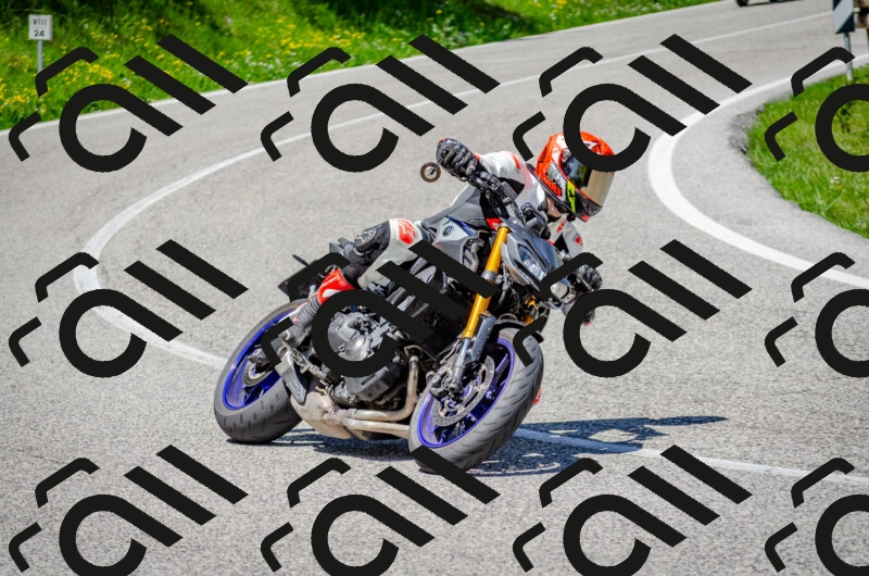 202506011233-DSC_4262_c2