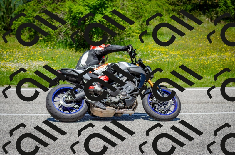 202506011233-DSC_4264_c2