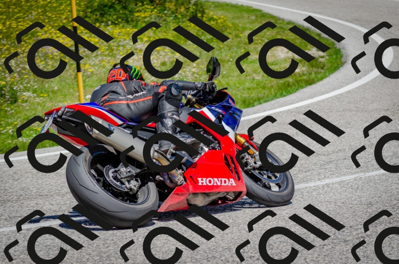 202506011233-DSC_4269_c2