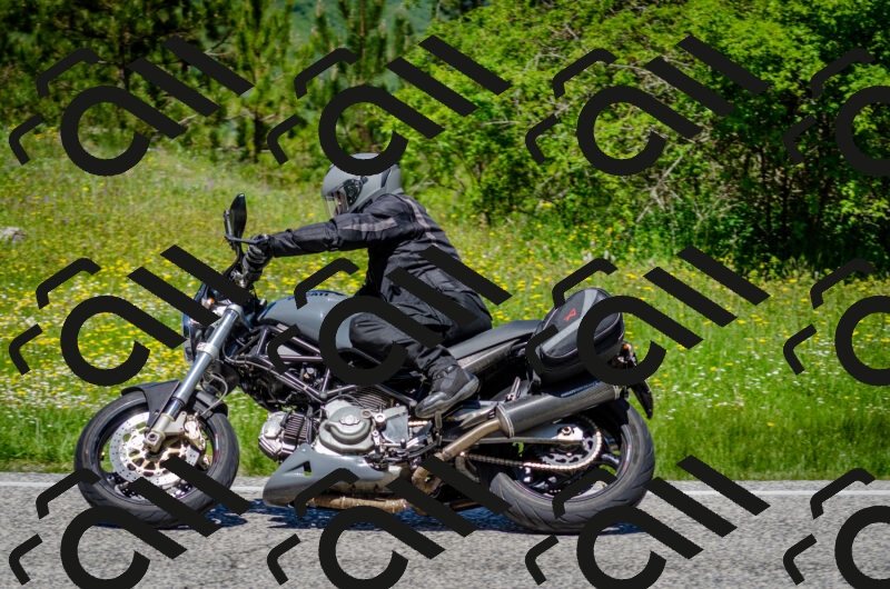 202506011234-DSC_4272_c2