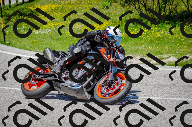 202506011234-DSC_4274_c2