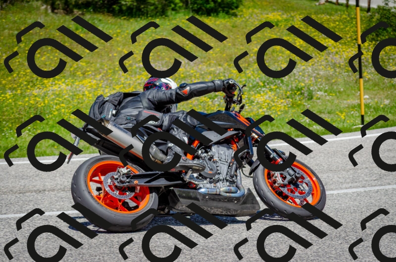 202506011234-DSC_4275_c2