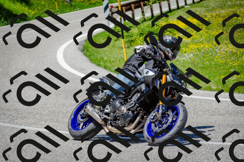 202506011234-DSC_4282_c2