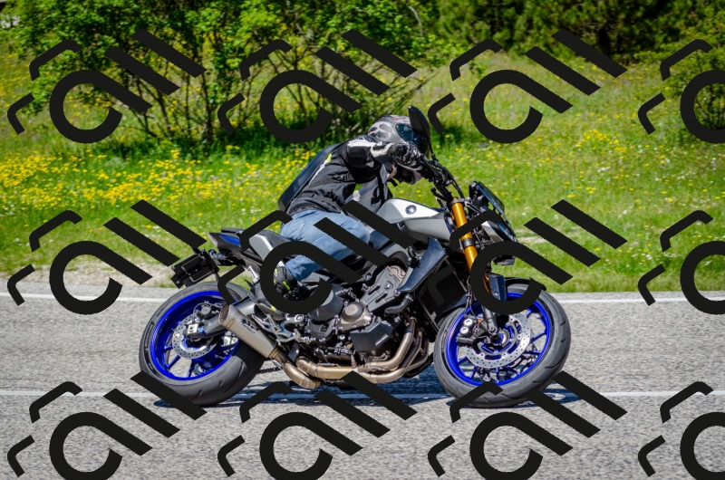 202506011234-DSC_4283_c2