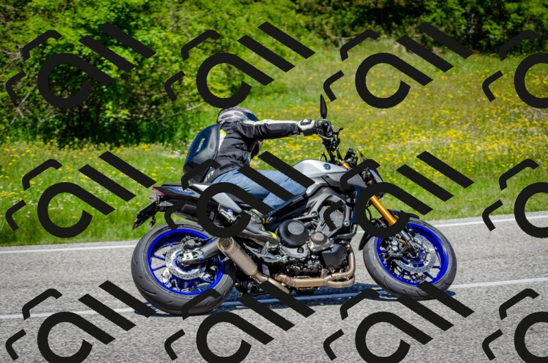 202506011234-DSC_4284_c2