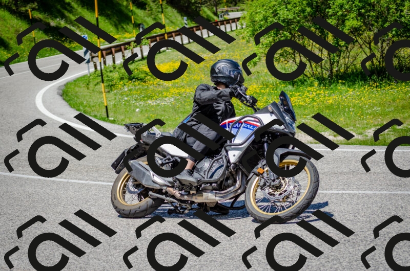 202506011235-DSC_4289_c2