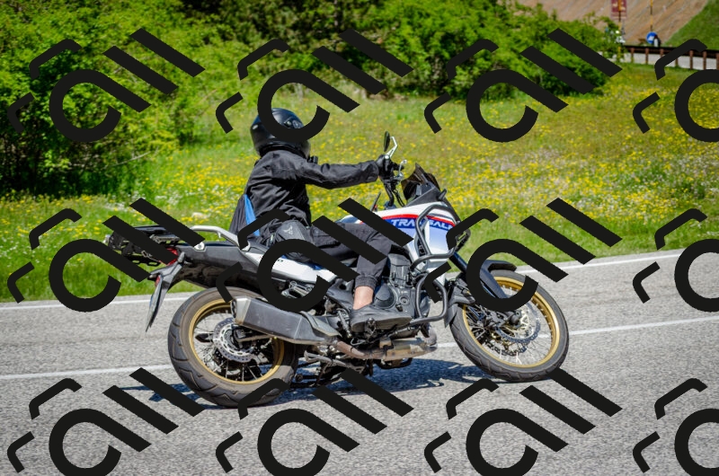 202506011235-DSC_4290_c2