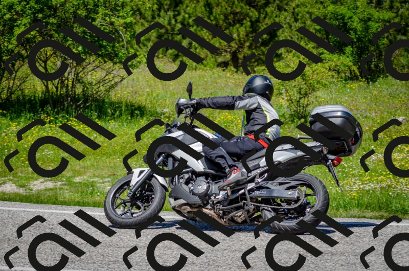 202506011235-DSC_4295_c2