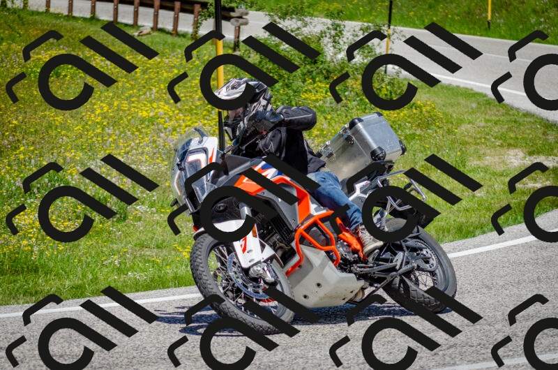 202506011235-DSC_4296_c2