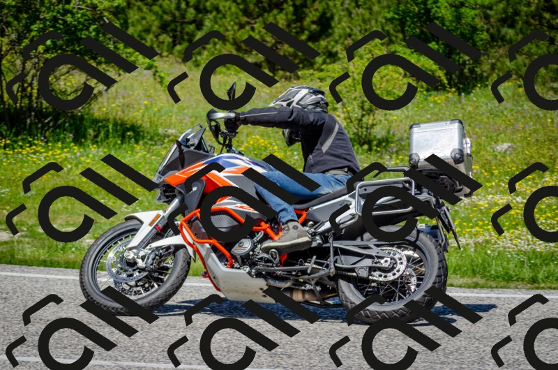 202506011235-DSC_4297_c2