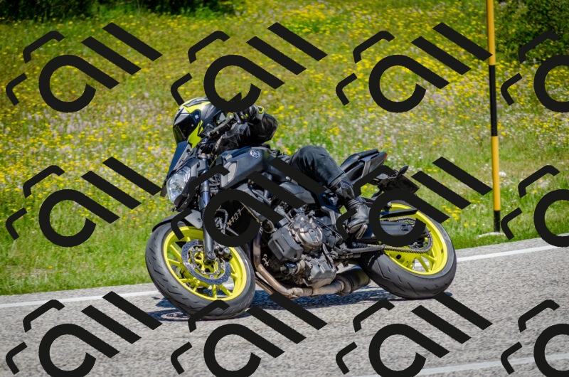 202506011236-DSC_4302_c2