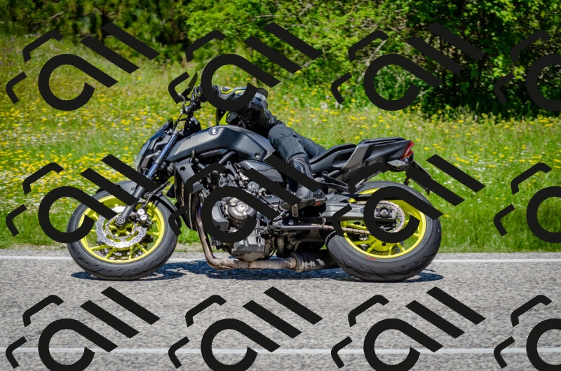 202506011236-DSC_4303_c2