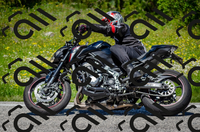 202506011237-DSC_4308_c2