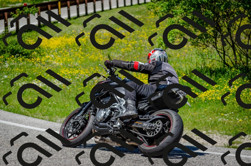 202506011237-DSC_4309_c2