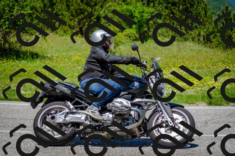 202506011237-DSC_4311_c2