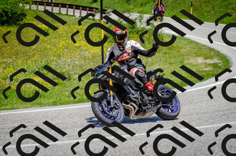 202506011237-DSC_4314_c2