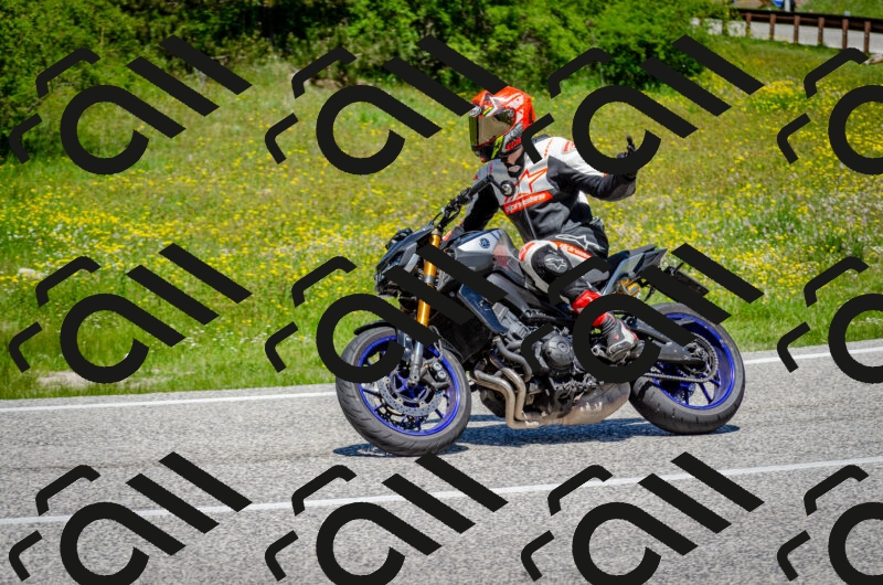 202506011237-DSC_4315_c2