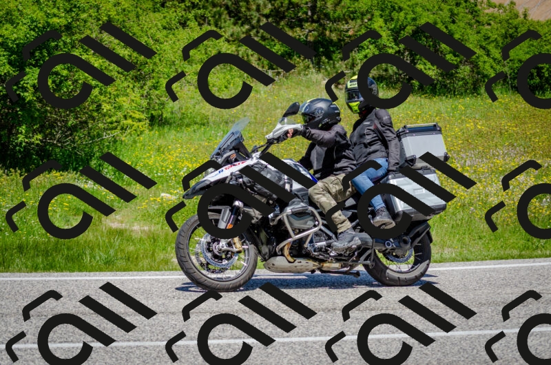 202506011237-DSC_4318_c2